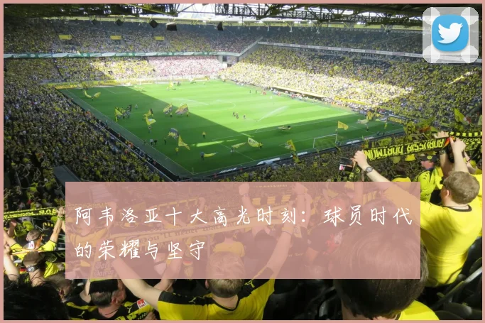 阿韦洛亚十大高光时刻：球员时代的荣耀与坚守