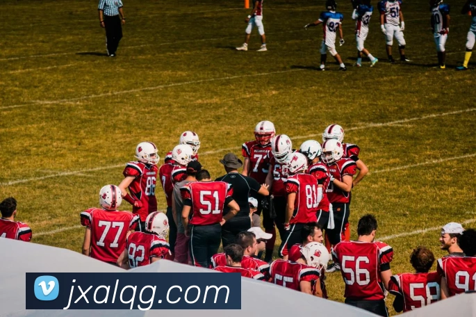 APP界面展示